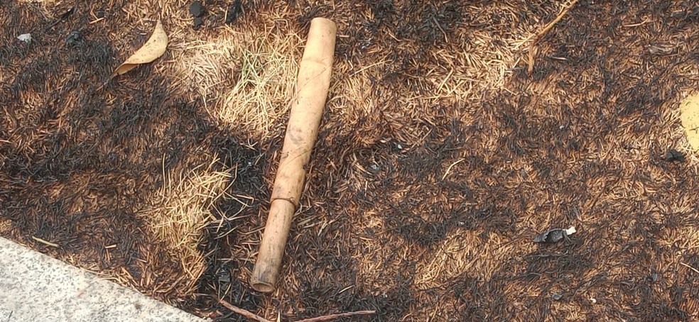 Marcas do incêndio no chão, grama queimada e até resquícios dos fogos de artifícios usados para assustar as pessoas em Salvador — Foto: Cid Vaz/TV Bahia