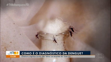 Saiba como é o diagnóstico da dengue