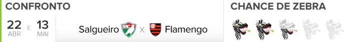 Header Zebrômetro, Salgueiro x Flamengo (Foto: GloboEsporte.com)
