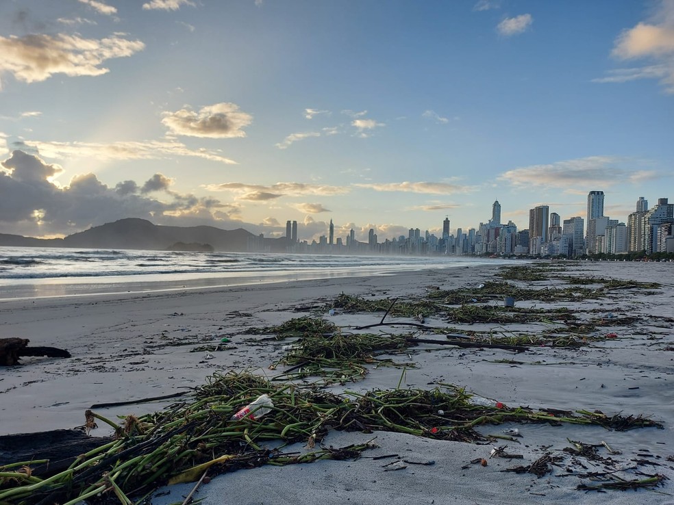 Praia alargada de Balneário Camboriú nesta quarta-feira — Foto: Rodrigo Gonçalves/NSC TV
