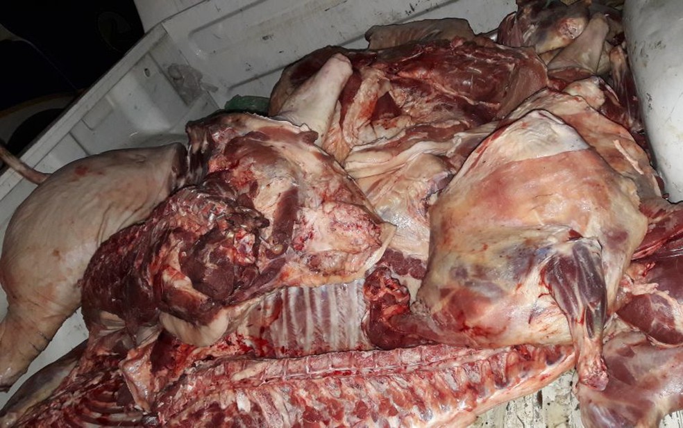 Mais de duas toneladas de carne foram apreendidas (Foto: Divulgação/ SSP-BA)
