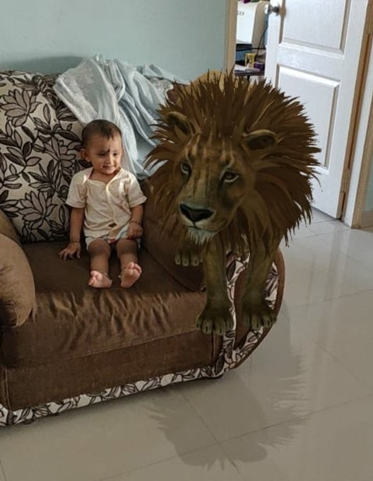 Leão posa calmamente com menino pelo recurso Google 3D Animal (Foto: Reprodução/Twitter)