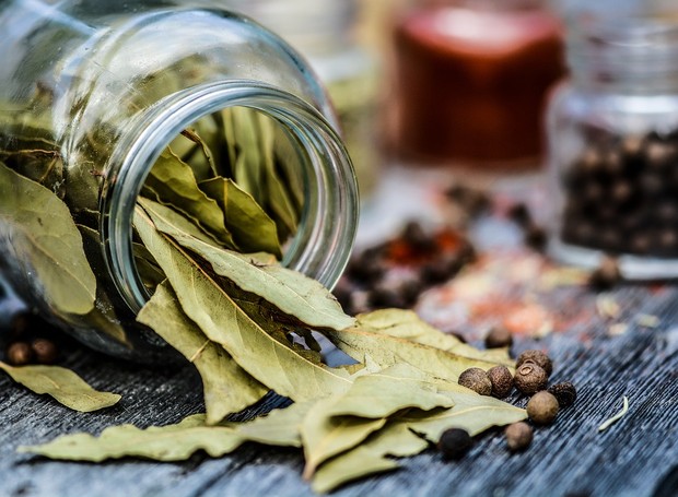 A folha de louro pode ser usada para fazer chás e temperar receitas de carnes, feijão, peixes e frutos do mar (Foto: Pixabay/Monicore/Creative Commons)