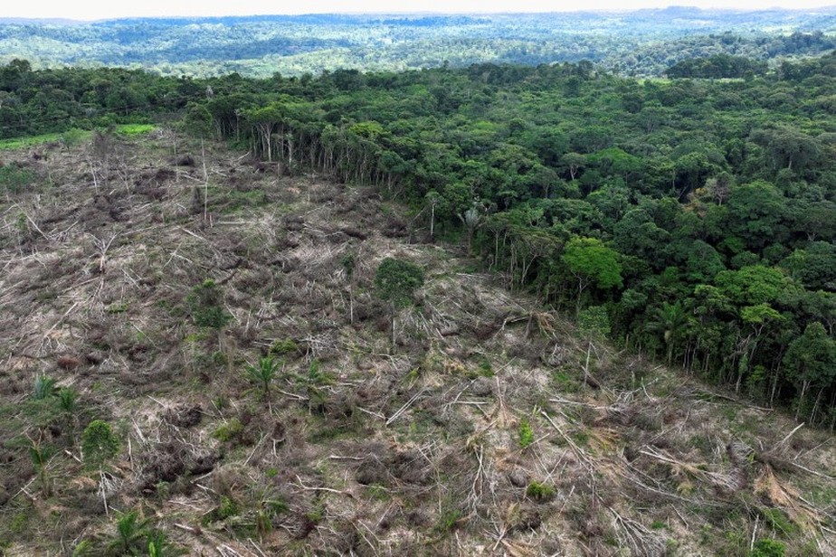 Vista aérea de trecho desmatado no estado do Pará