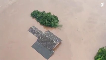 VÍDEO: porcos tentam se abrigar em telhado após passagem de