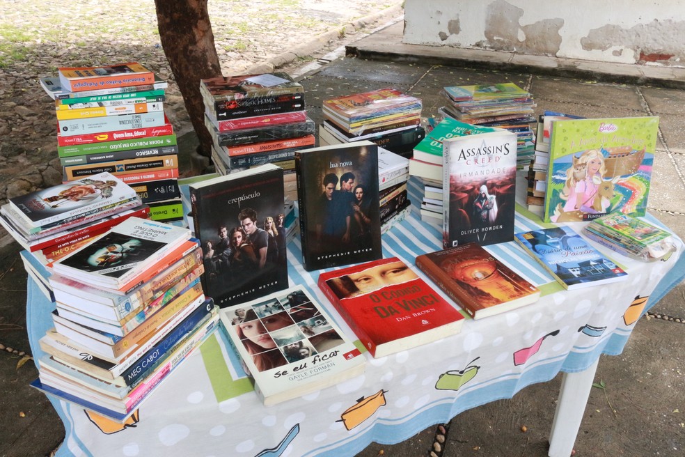 Parte dos livros que são comercializados no sebo literário em Teresina — Foto: Giicilene Araújo/G1 