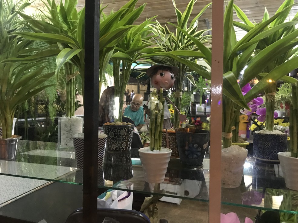 A arte de arranjos com bambu são a paixão do floricultor (Foto: Yasmim Restum/G1)