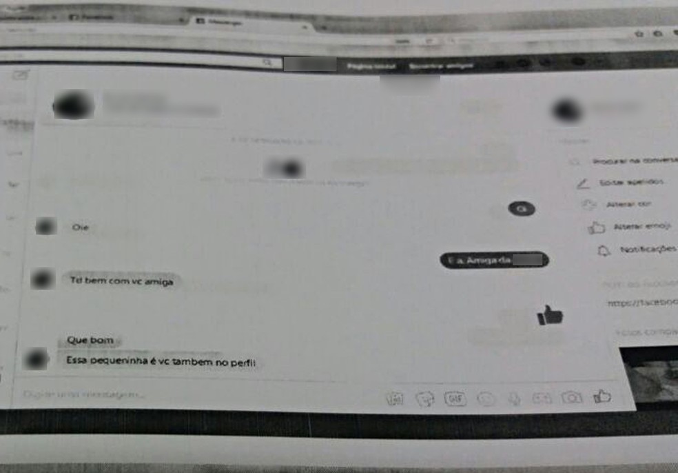 Troca de mensagens foi vista por meio do perfil da primeira vítima (Foto: Reprodução/Polícia Civil)