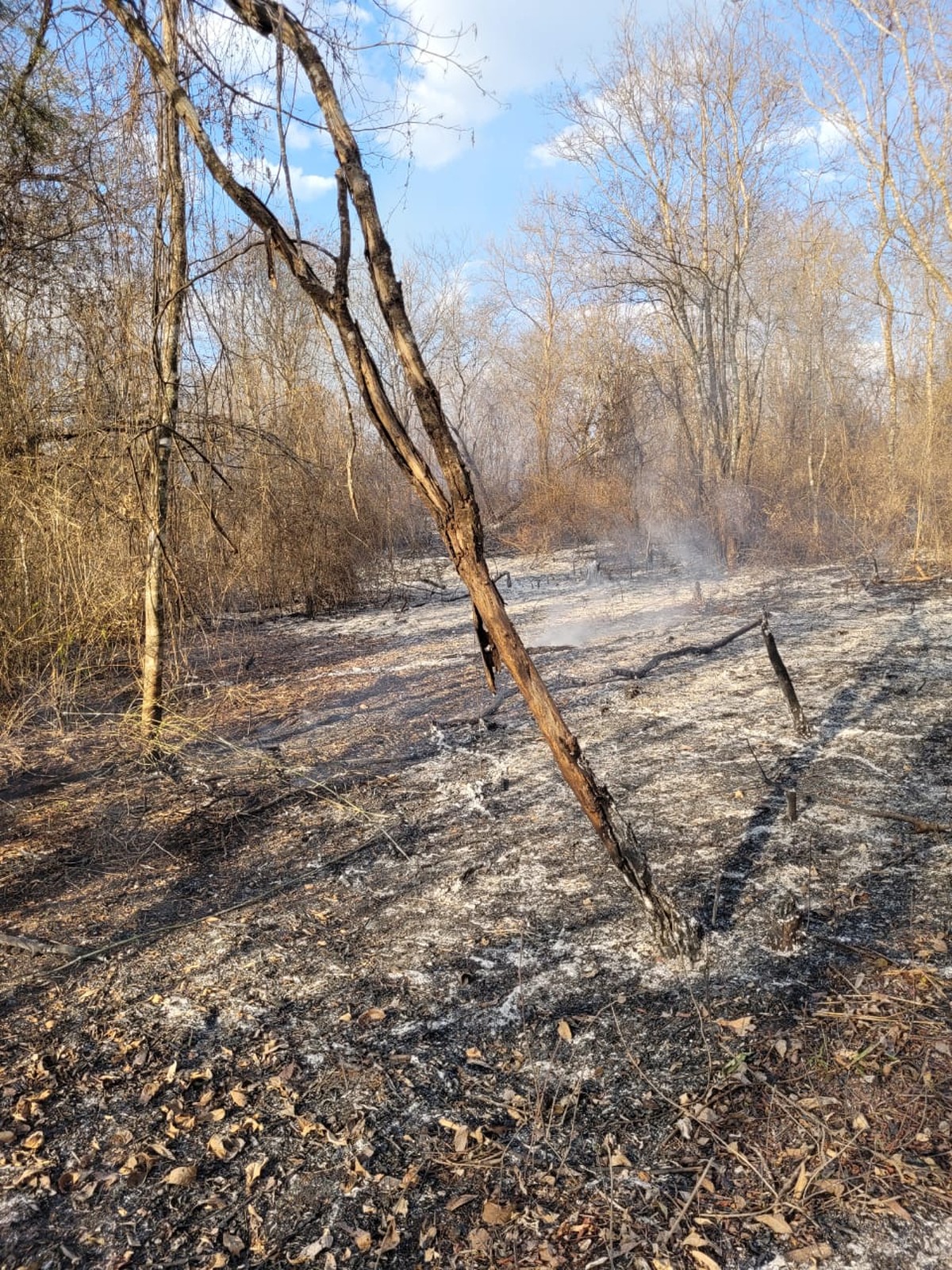 Incêndio atinge área do Parque Estadual da Lapa Grande, em Montes Claros