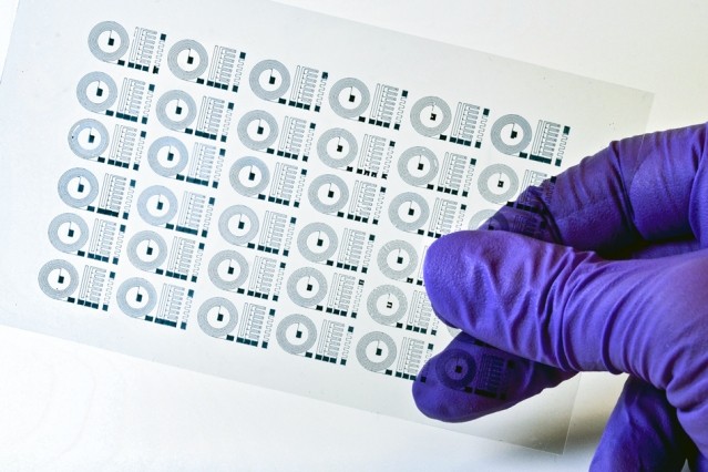 Engenheiros do MIT criam implantes cerebrais macios: entenda (Foto: Instituto de Tecnologia de Massachusetts (MIT)