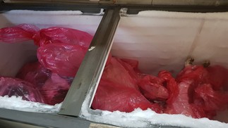 Foram encontrados 17 corpos de animais guardados em freezers de clínica veterinária interditada em Vila Velha (ES) — Foto: CPI dos Animais / Ales