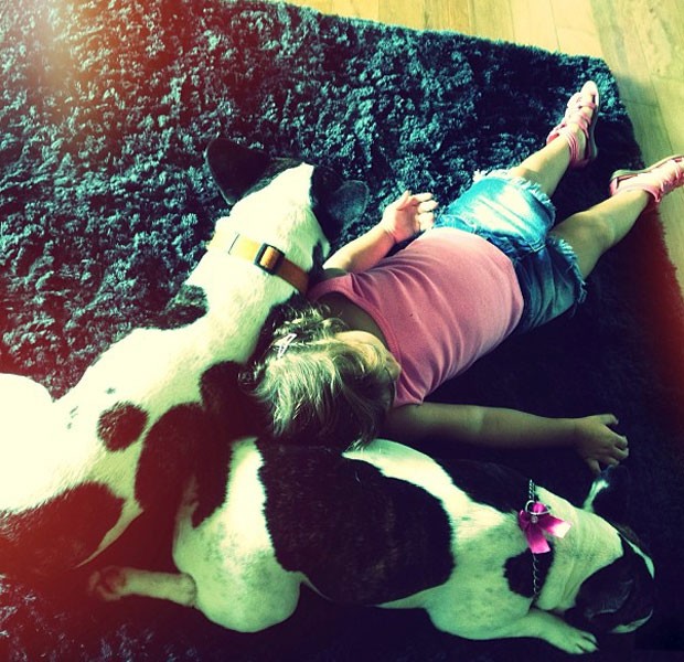 Olivia e os cachorros (Foto: Reprodução/ Instagram)
