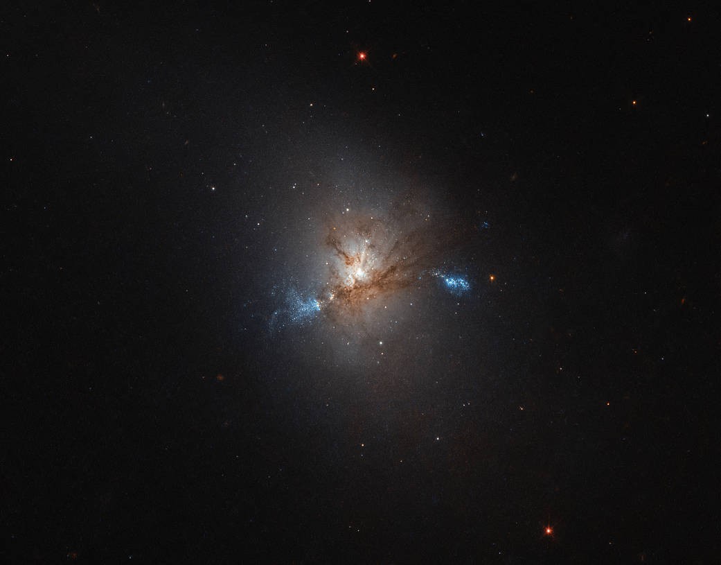 Galáxia NGC 1222 (Foto: ESA/Hubble & NASA)