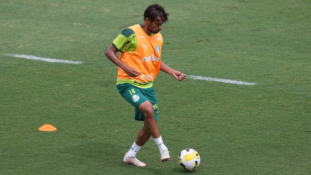 Scarpa volta aos treinos e deve reforçar o Palmeiras contra o Goiás