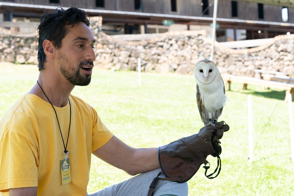 Atividade de falcoaria entretêm turistas no Parque da Ovelha, em Bento Gonçalves — Foto: Marcelo Brandt/G1