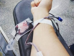 hemopa doação de sangue (Foto: G1)