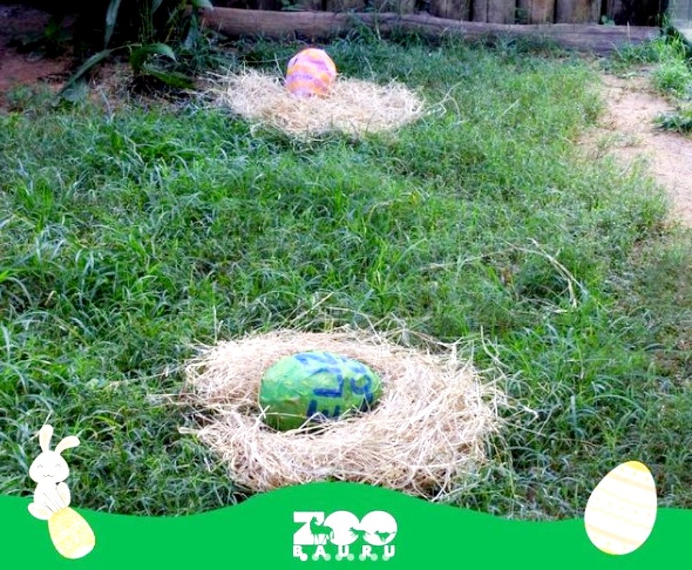 Redes sociais do zoo de Bauru mostram vários recintos com os "ovos de Páscoa" para comemorar a data — Foto: Reprodução/Instragam/Zoo de Bauru