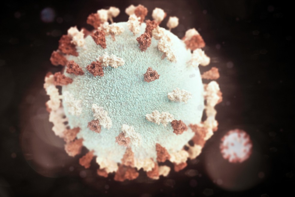 Coronav&iacute;rus &mdash; Foto: CDC no Unsplash/ Divulga&ccedil;&atilde;o