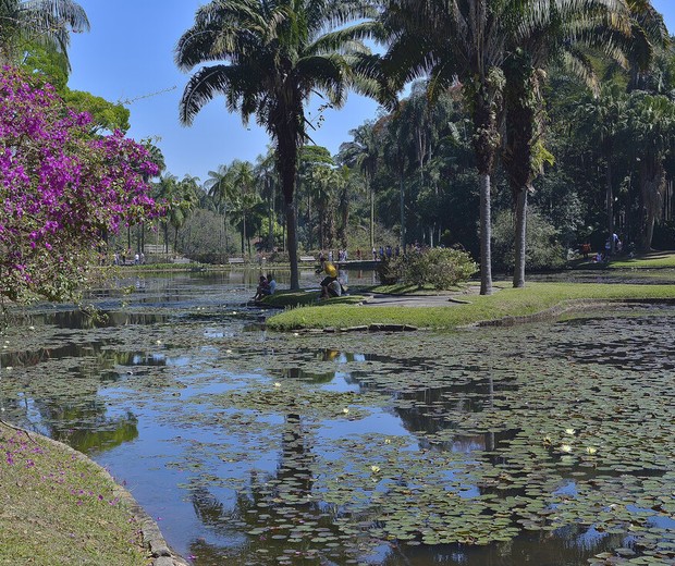 Lake in Sao Paulo Botanic Garden. (Foto: Getty Images)