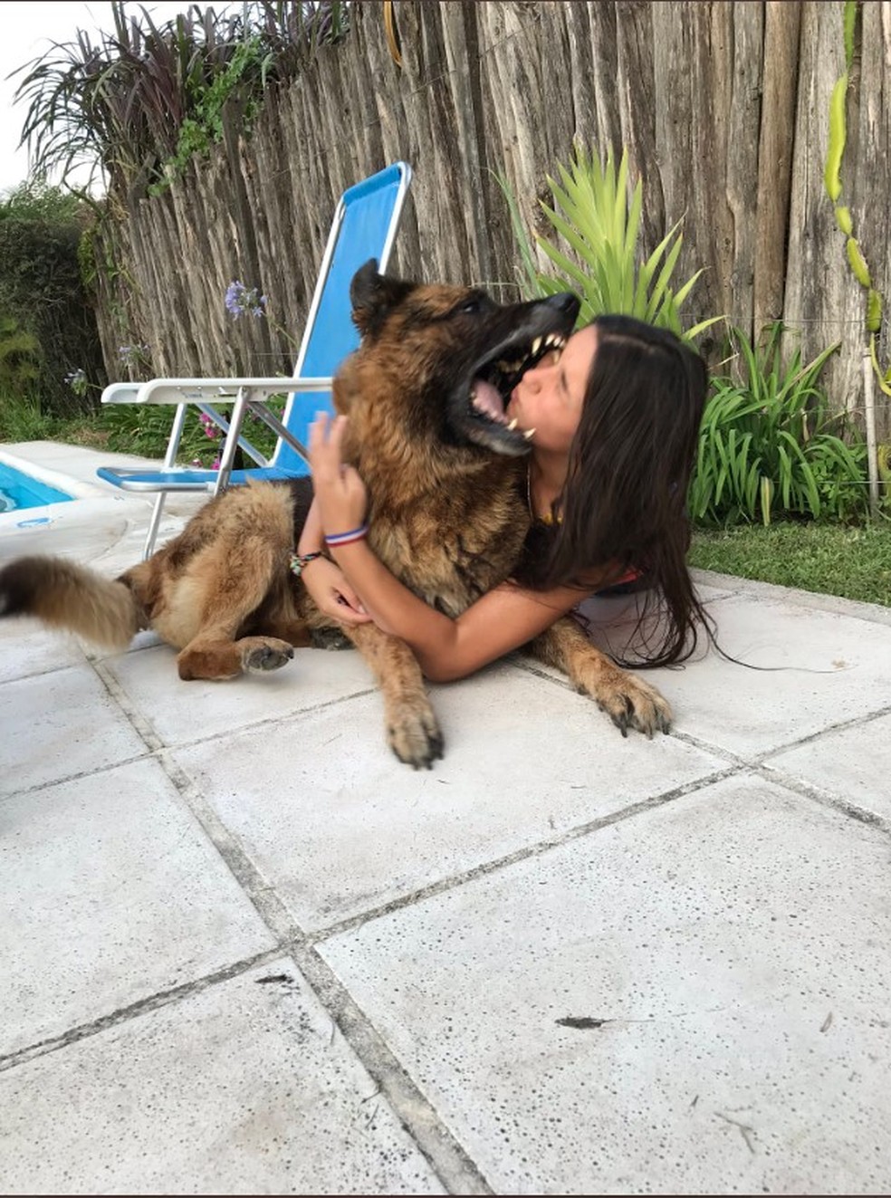 Cachorro morde Laru Sanson na casa de um amigo dela em Tucumán, na Argentina — Foto: Reprodução/Twitter
