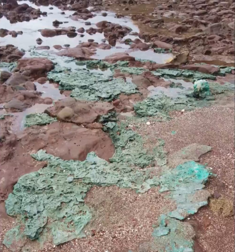 Rochas de plástico se formaram na Ilha da Trindade — Foto: Fernanda Avelar Santos
