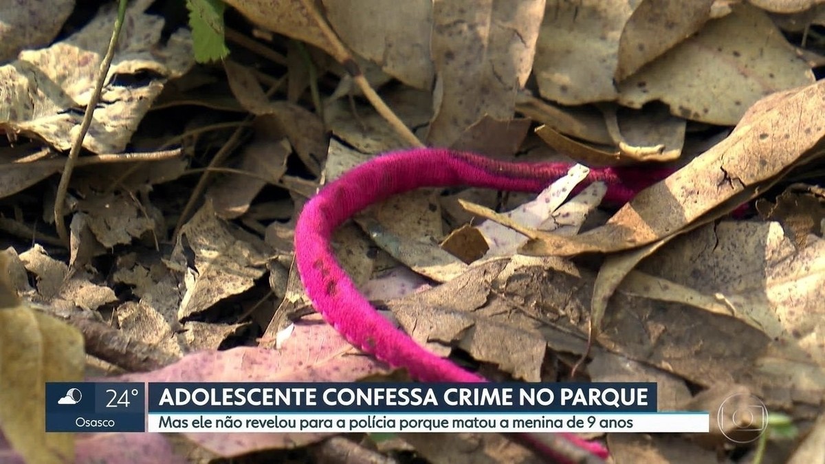 Adolescente Que Confessou Ter Matado A Menina Raíssa é Levado Para A Fundação Casa São Paulo G1 4619