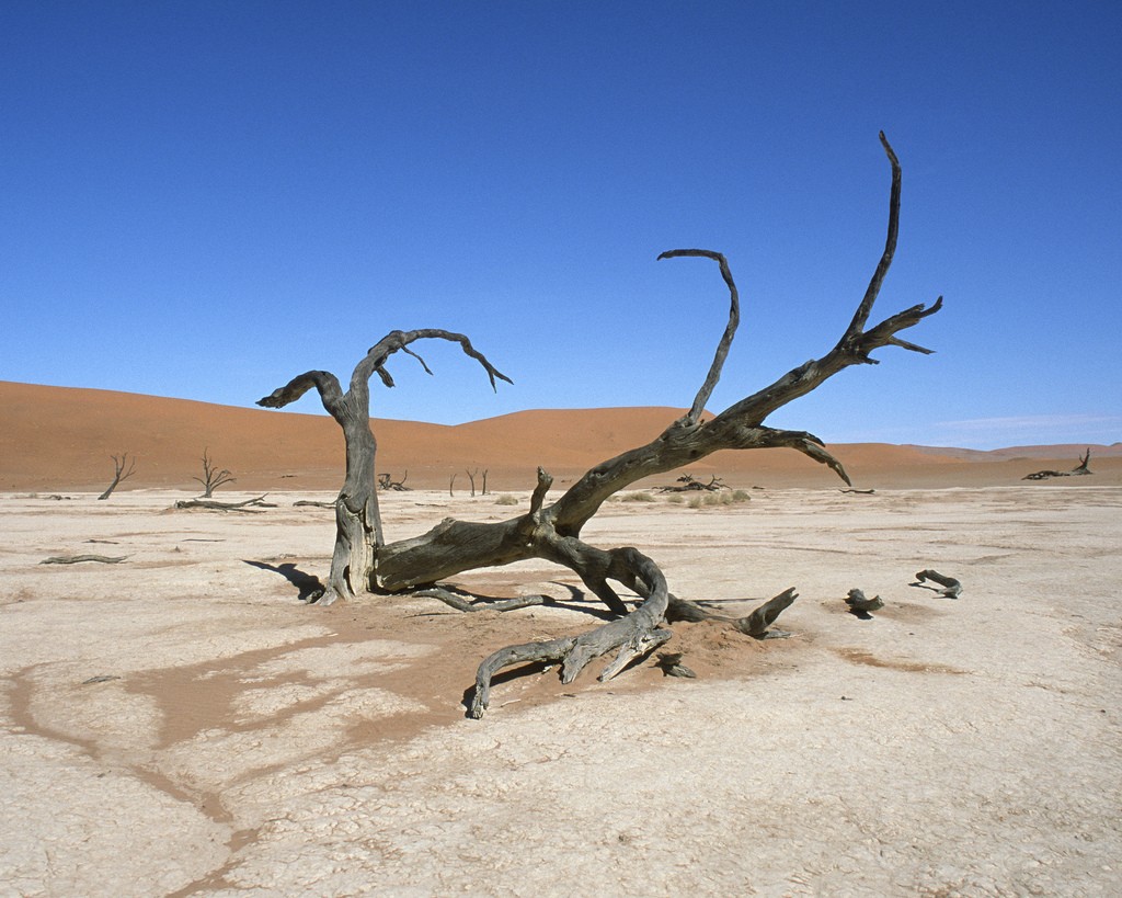 Deserto na Namibia (Foto: World Bank Photo Collection/Flickr/Creative Commons)