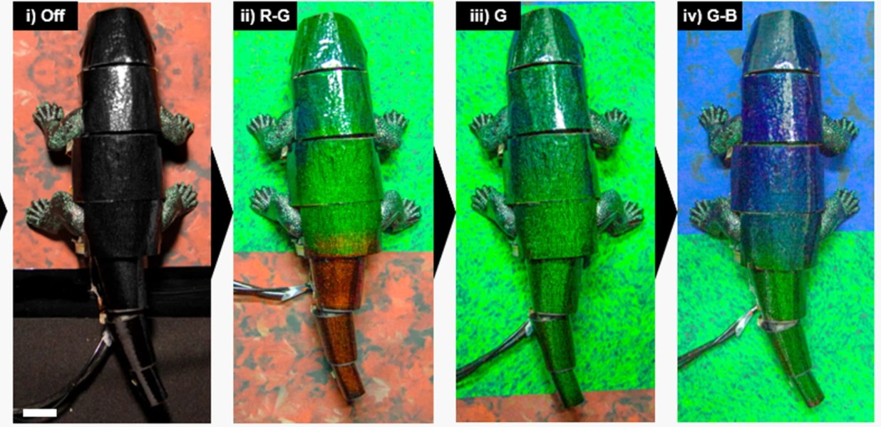 Robô camaleão muda de cor conforme transita entre ambientes (Foto: Reprodução/Nature Communications)