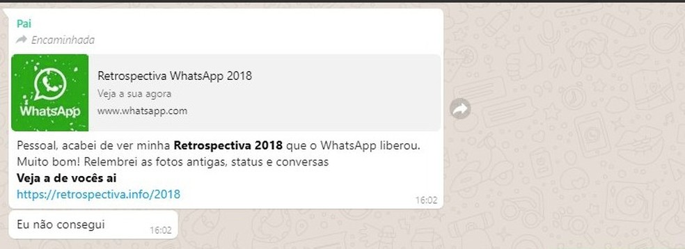 Falso recurso oferece retrospectiva no WhatsApp em 2018 &mdash; Foto: Reprodu&ccedil;&atilde;o/WhatsApp