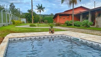 Há uma piscina exclusiva para pets no hotel. Na foto, Nina e Armandinho, do perfil @euvoceeospets