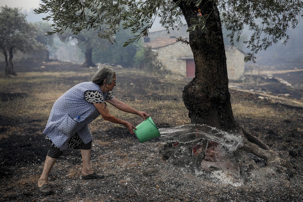 Moradora usa balde de água para apagar brasas em pé de oliveira em Moinhos João da Serra, em Ourem. — Foto: Pedro Rocha/AFP