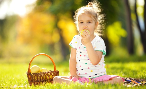Criança comendo frutas em piquenique ao ar livre (Foto: Shutterstock)