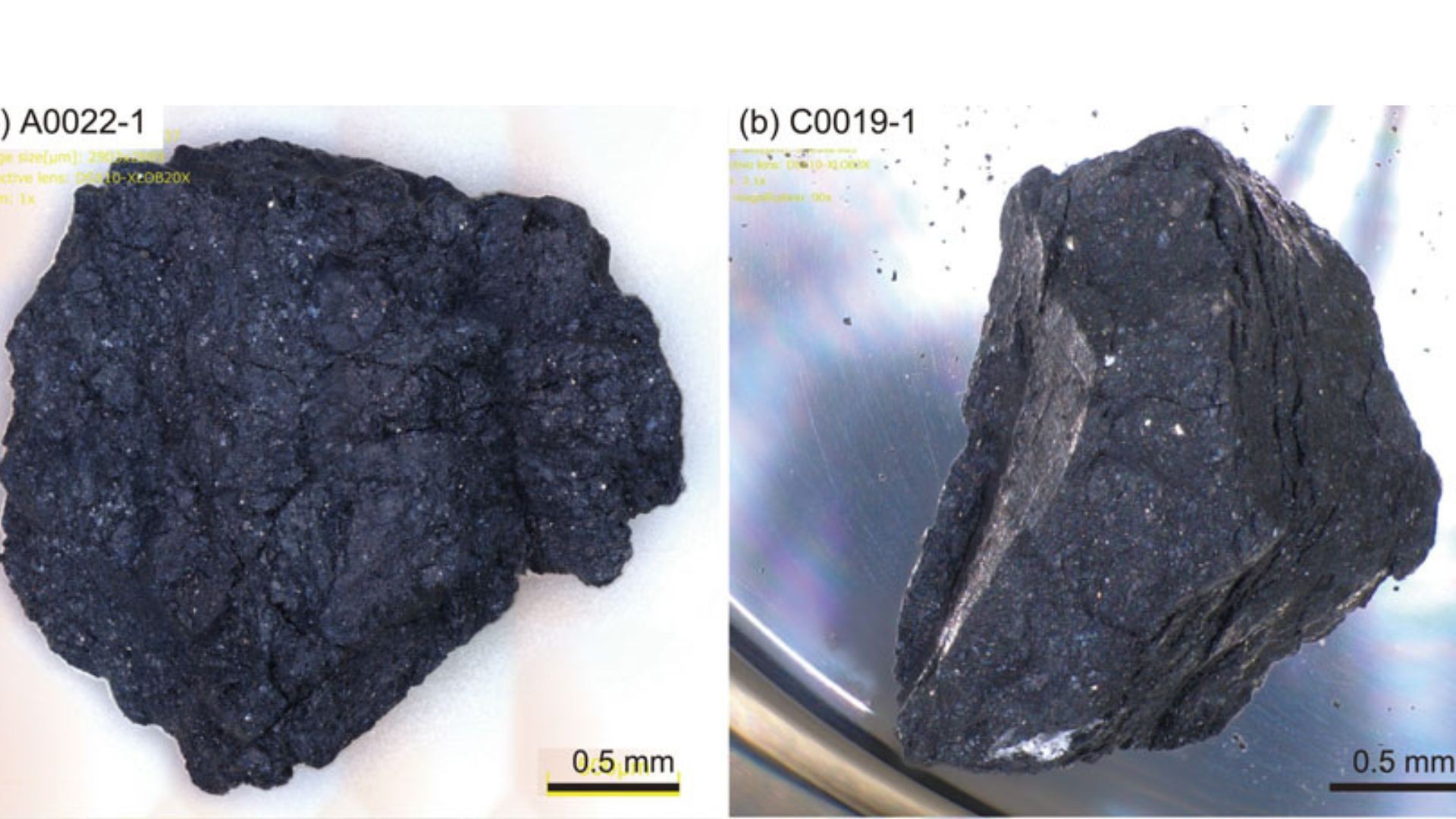 Asteroide Ryugu contém aminoácidos que podem ter possibilitado surgimento da vida (Foto: Eizo Nakamura et.al )