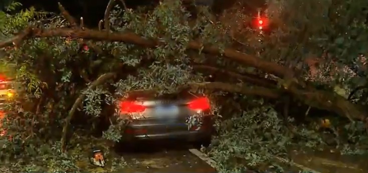 Árvore cai em cima de carro parado no semáforo durante chuva forte em Curitiba