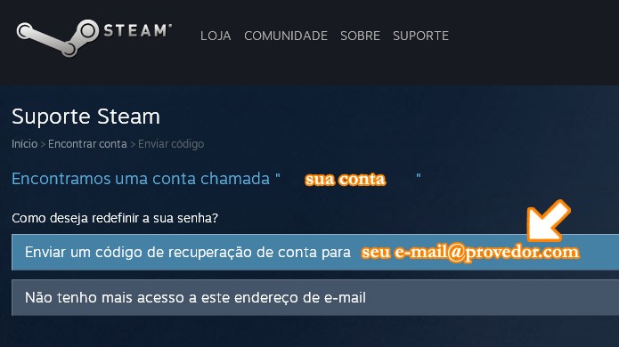 Peça para o Steam enviar um código de recuperação para seu e-mail (Foto: Reprodução/Rafael Monteiro)