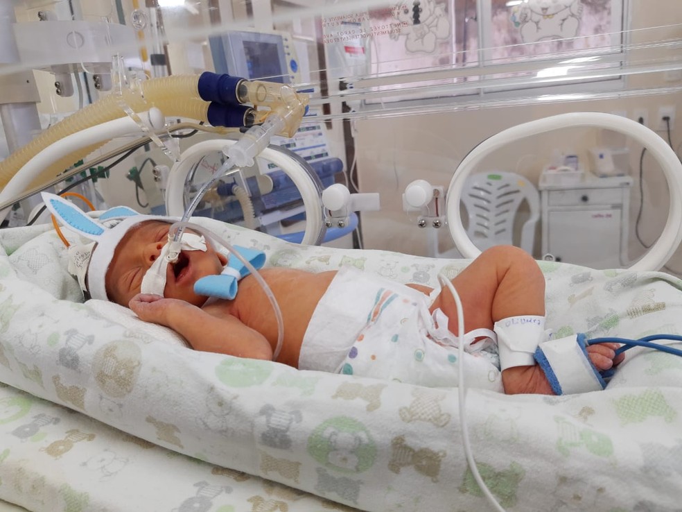 Bebês de UTI Neonatal de hospital em João Pessoa são fantasiados de