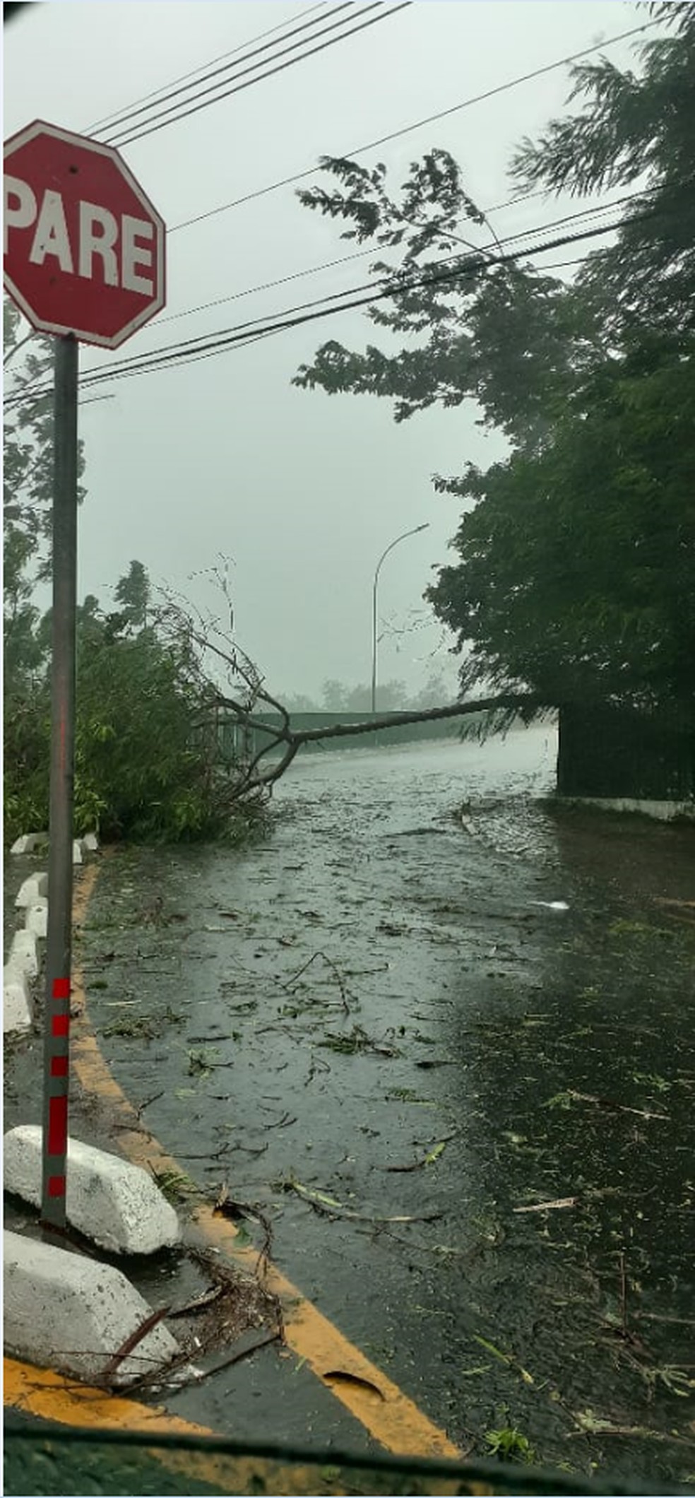 A Ponte Frei Galvão foi obstruída com a queda de uma árvore. — Foto: Cap Wagner Guimarães/Polícia Militar 