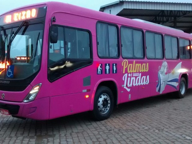 Novos ônibus de Palmas receberam pinturas especiais (Foto: Divulgação/ Secom)