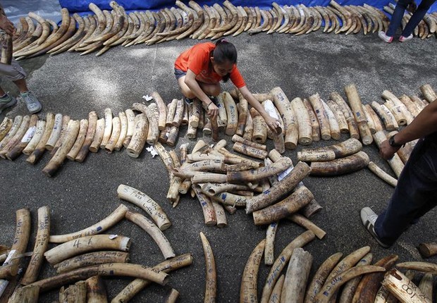 Comércio de marfim foi proibido pela ONU em 1989. Regra, no entanto, não se dirige aos mercados domésticos (Foto: Agência EFE)