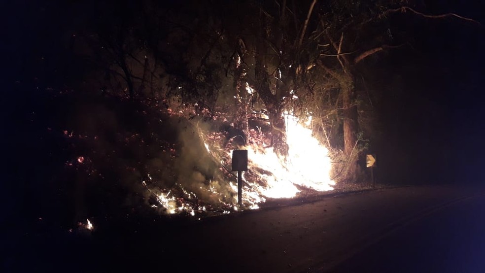 Incêndio atinge área no lavandário em Cunha, SP — Foto: Defesa Civil/Divulgação