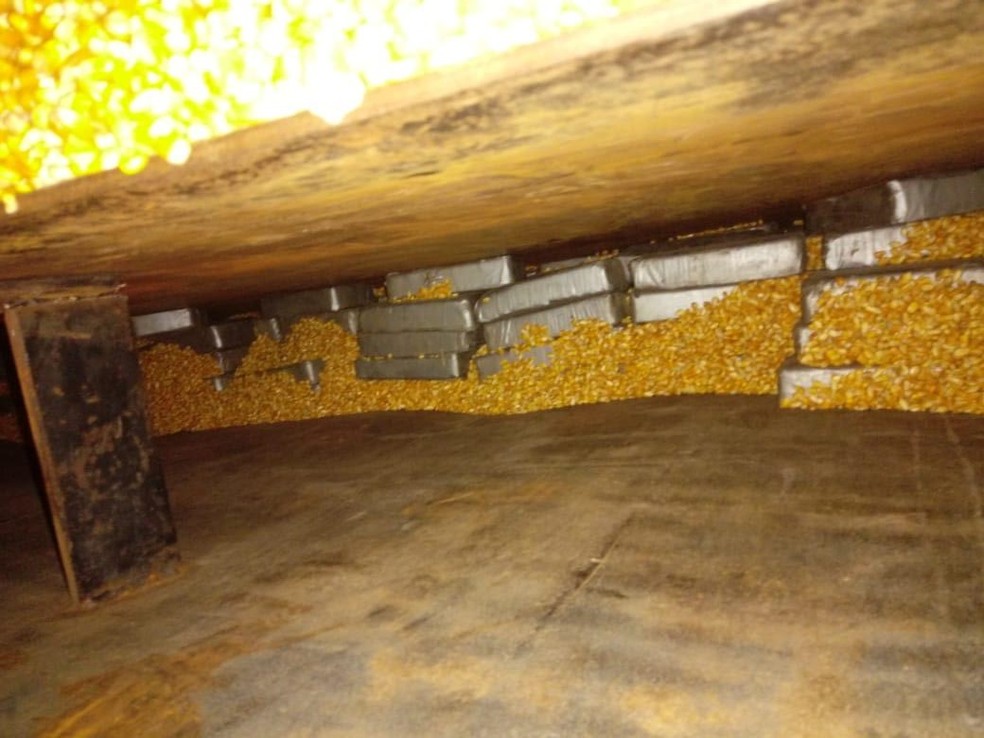 Droga estava escondida em meio a carga de milho — Foto: Cedida/Polícia Federal