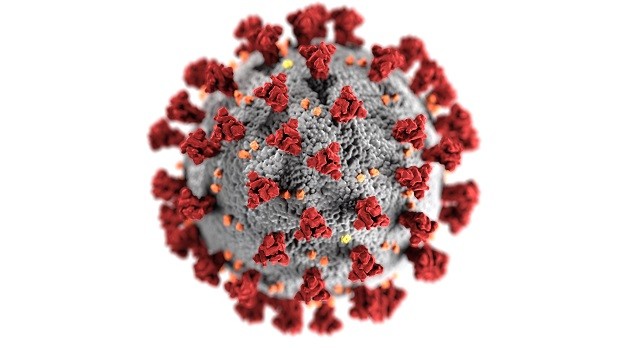 Coronavírus (Foto: CDC / Pexels)