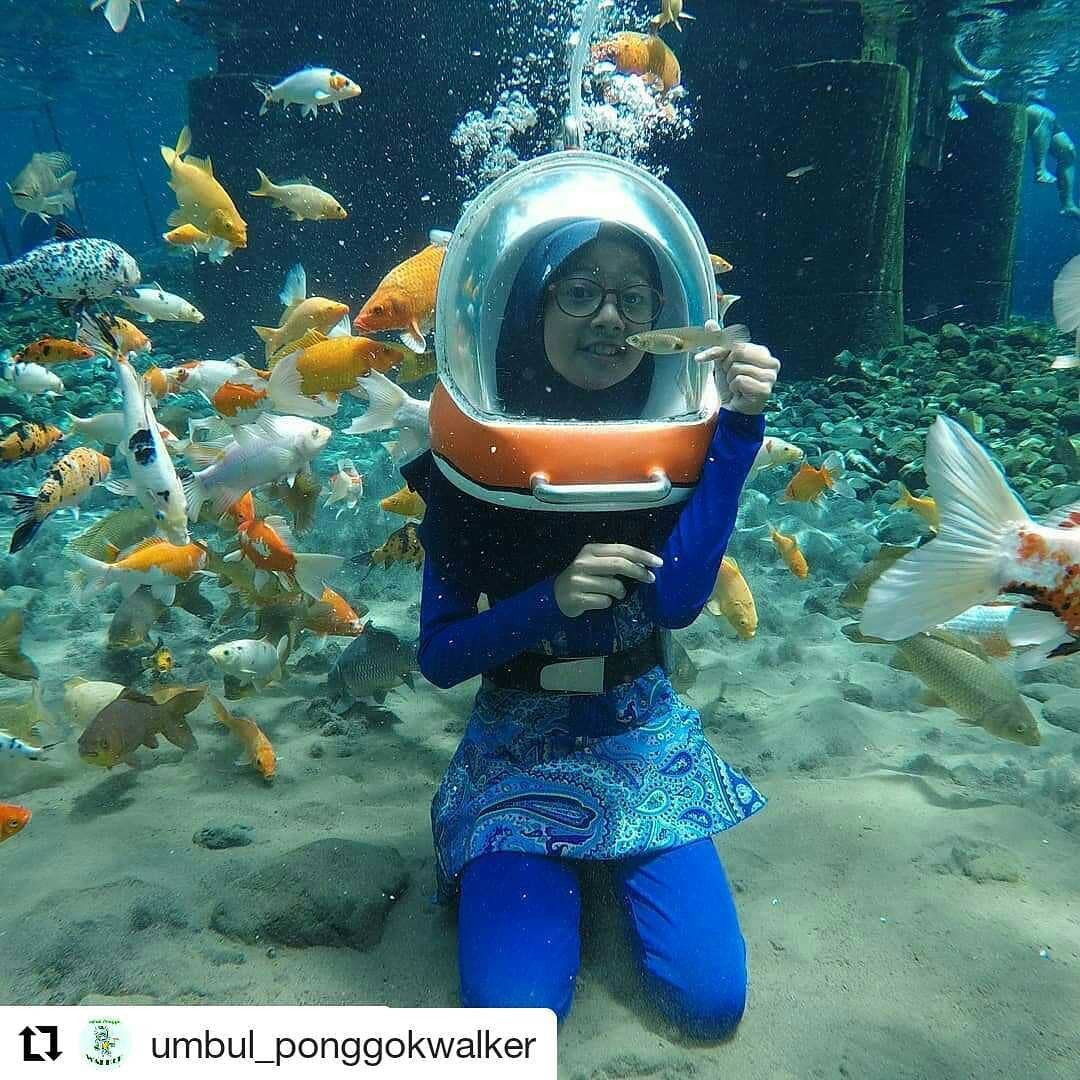Umbul Ponggok (Foto: reprodução/ instagram)