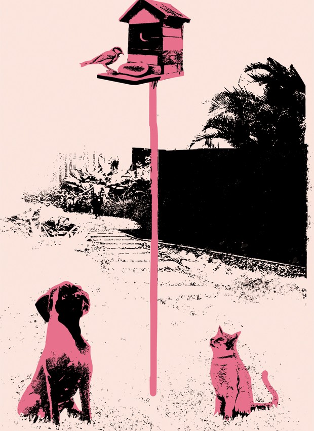 Ilustração coluna A vida com pets - março de 2021 (Foto: Ilustração Adams Carvalho / Editora Globo)
