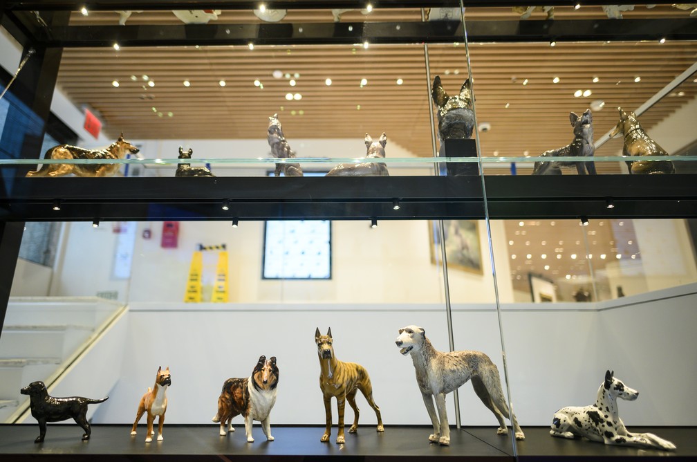  Figuras de cachorro no Museu Americano do Cachorro do Clube do Canil  — Foto: Johannes EISELE / AFP