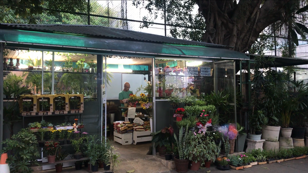 Floricultura Ponto Verde recebe doações de segunda à sábado (Foto: Yasmim Restum/G1 )