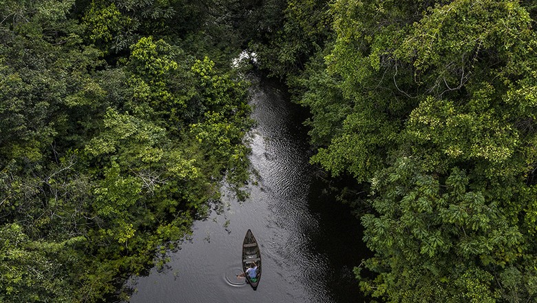 Vista aérea da biodiversidade aquática da Amazônia (Foto: Marizilda Cruppe/Divulgação)