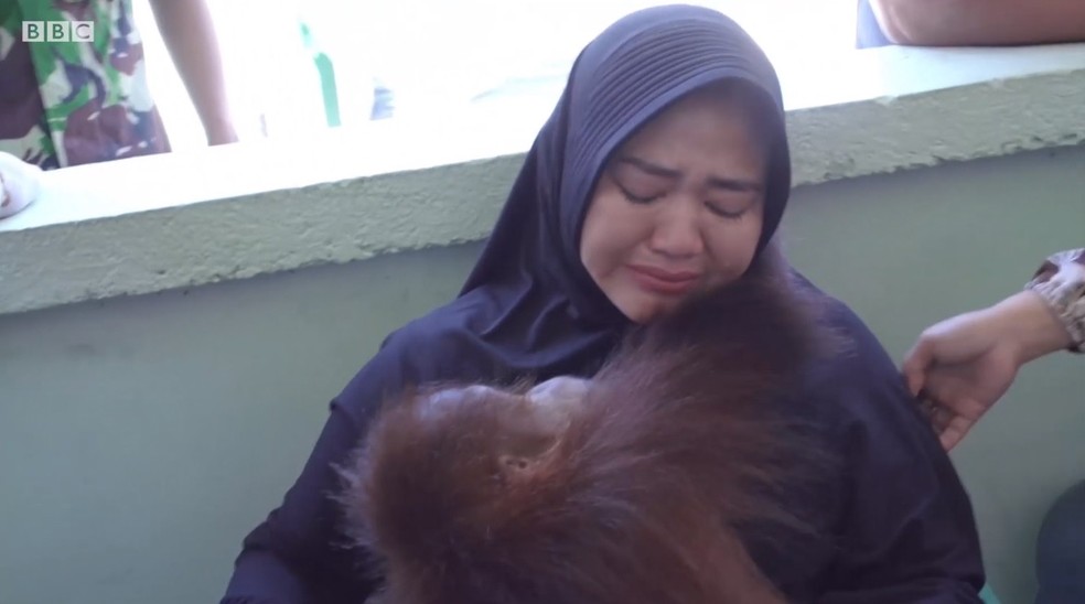 Mulher chora ao ser separada de seu orangotango de estimação — Foto: BBC
