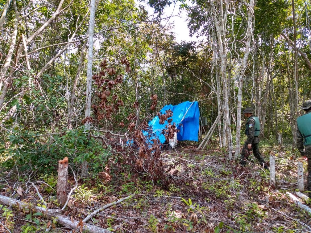 Acampamento é feito dentro de área de mata, em Candeias — Foto: Jheniffer Núbia/G1