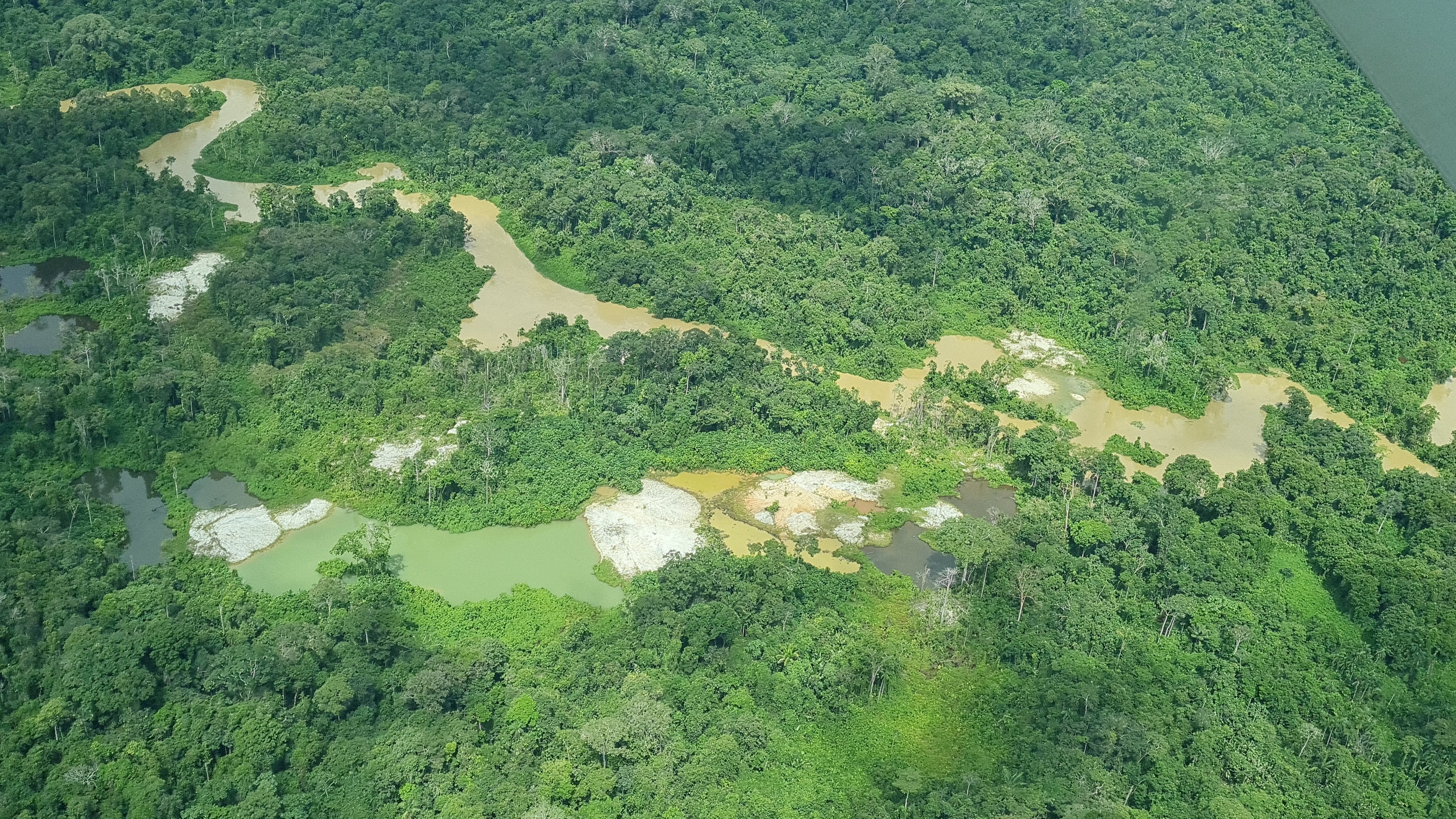Relembre conflitos recentes entre garimpeiros e indígenas na Terra  Yanomami thumbnail